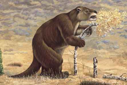 كسلان الأرض العملاق 2013 2014 Giant Ground Sloth sm.jpg
